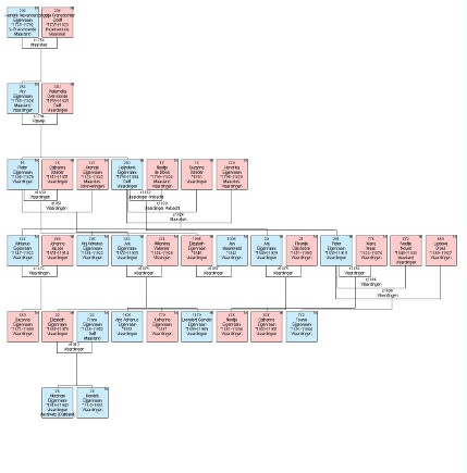 Fragment stamboom Eijgenraam, Vlaardingen (klik op de afbeelding voor een vergroting)