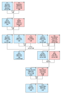 Geneagram familie Eijgenraam aan de Buitenwatersloot