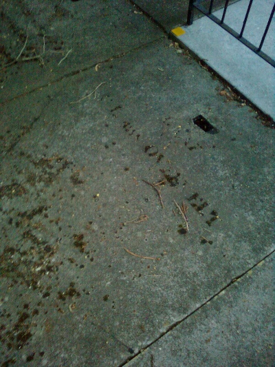 Bovenstaand, nog altijd bestaande graf van Catrina Glasburg en haar man Carel Lodewijk Overvelt op Oud Eik en Duinen staat 160 jaar na het overlijden van Carthrina Halverhout nog steeds op haar naam geregistreerd